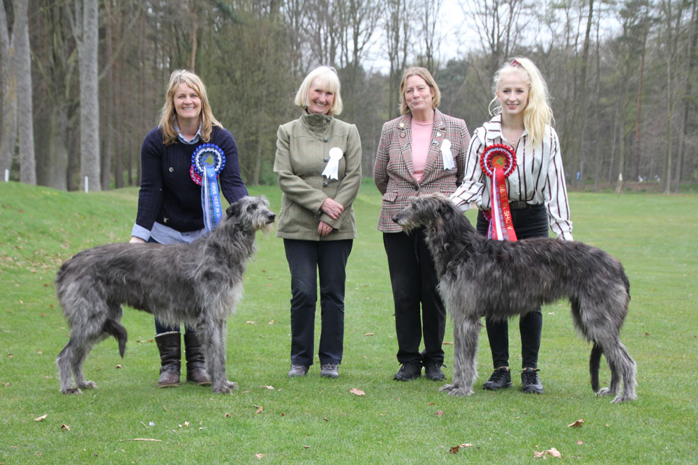 BIS& RBIS Breed Show 2019